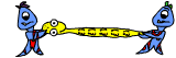 Gnopsis mit Füßler